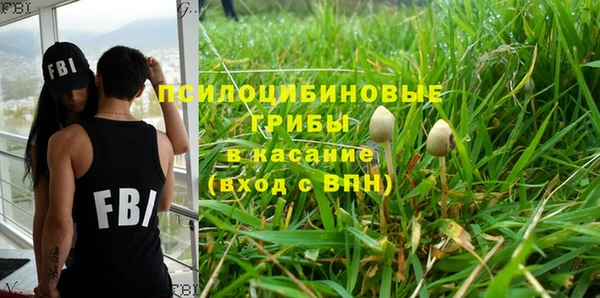 мяу мяу мука Белая Холуница