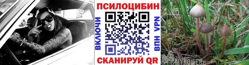 даркнет сайт  Солигалич  Галлюциногенные грибы Psilocybine cubensis 